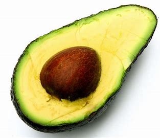 Palta/Aguacate