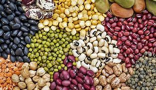 Beans