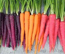 Carrots