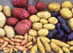 Potatoes
