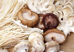 Mushrooms